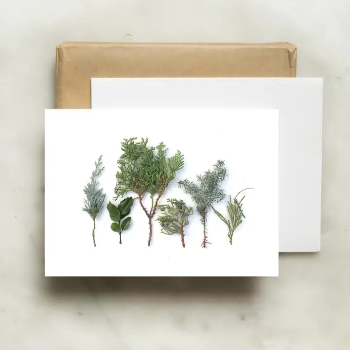 Botanical Greeting Card: Baby Evergreens