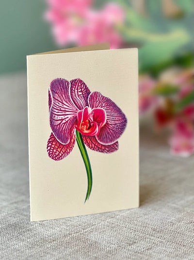 Fresh Cut Paper, Orchid Oasis