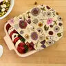Bee's Wrap, Plant-Based Assorted pack of 3 in Meadow Magic (Vegan)