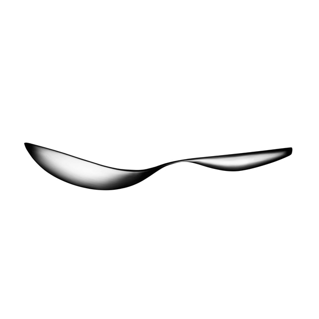 Iittala, Citterio Medium Serving Spoon