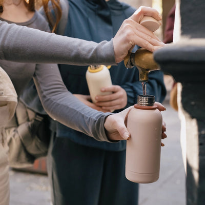 Insulated Reusable Bottle 12 oz - Blush
