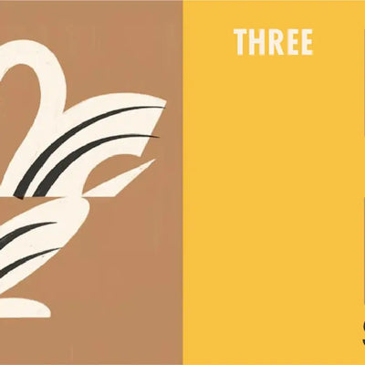 How Many Birds? Baby Board Book