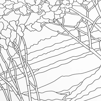 Coloring Book: Louis Comfort Tiffany