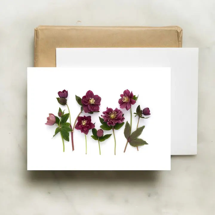 Botanical Greeting Card: Hellebore Party
