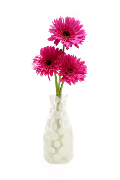 Expandable Flower Vase, Polkie