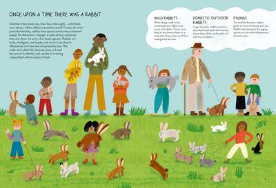 Rabbitology