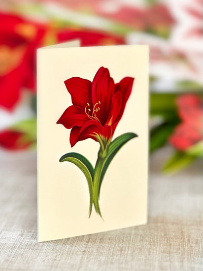 Fresh Cut Paper, Scarlet Amaryllis