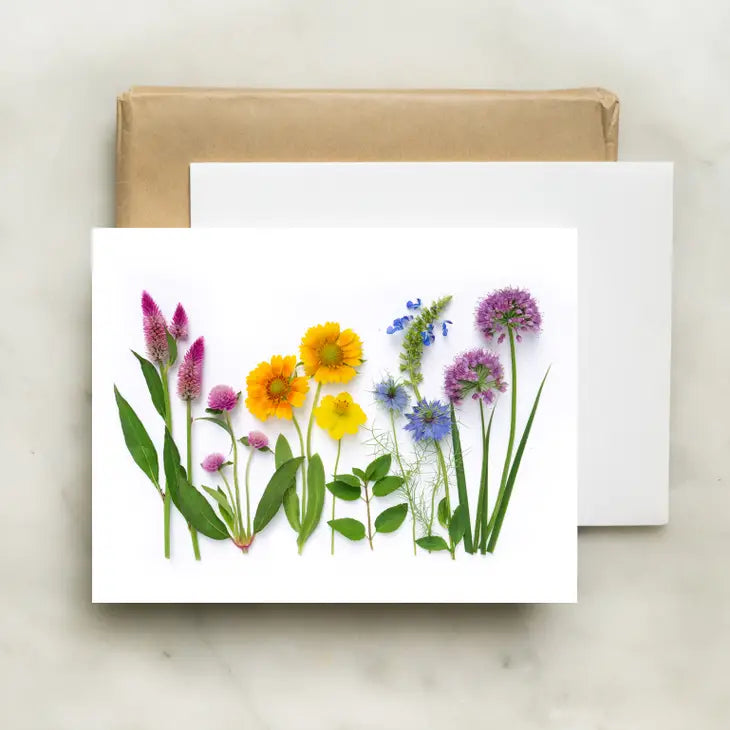 Botanical Greeting Card: Allium Rainbow