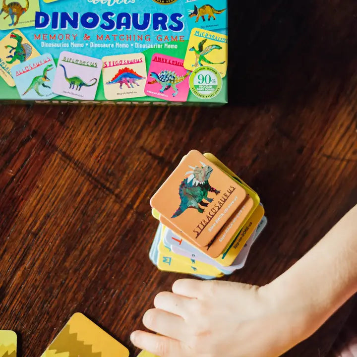 Dinosaurs Little Memory & Matching Game