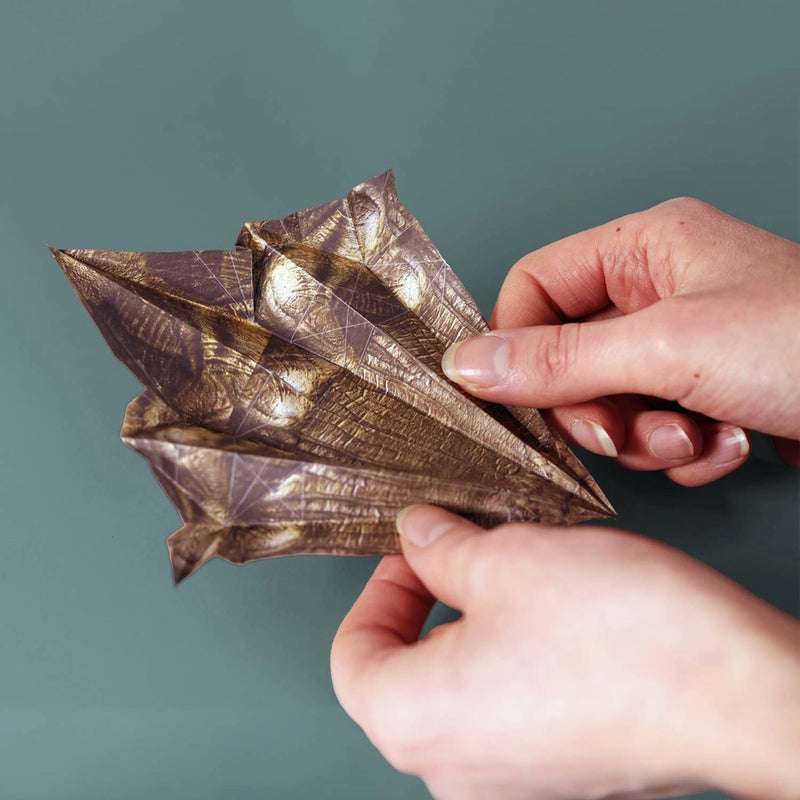 Paper Dinosaurs DIY Origami Kit