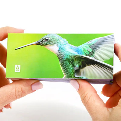 Hummingbirds Flipbook