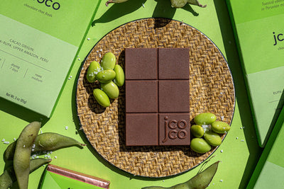 Edamame Sea Salt Chocolate Bar