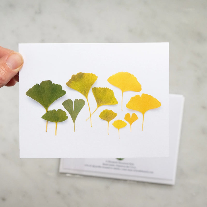 Botanical Greeting Card: Ginkgo Leaf Ombre