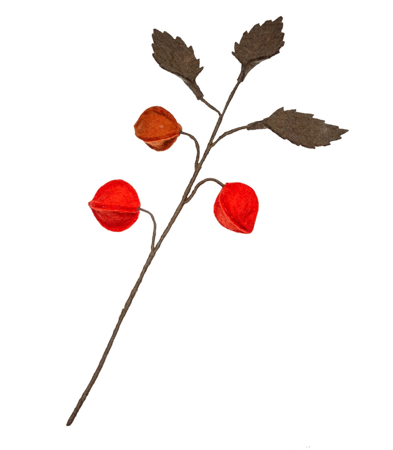 Chinese Lantern Felt Flower