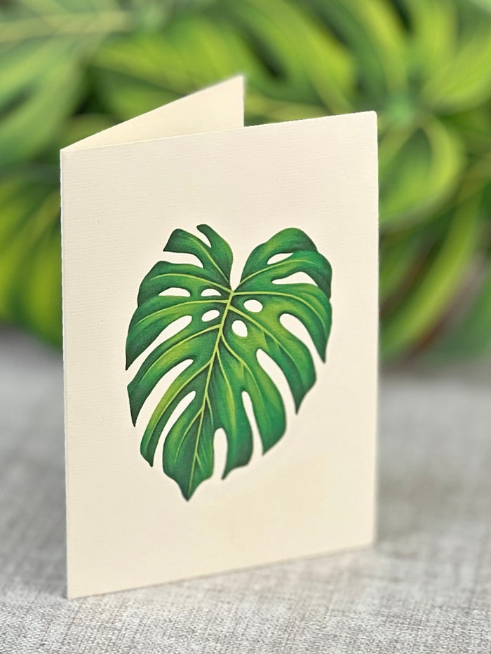 Fresh Cut Paper, Monstera Plant