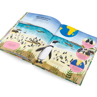Animals Everywhere Book