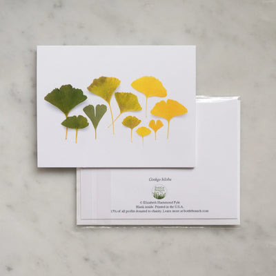 Botanical Greeting Card: Ginkgo Leaf Ombre