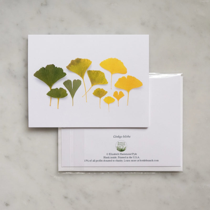 Botanical Greeting Card: Ginkgo Leaf Ombre