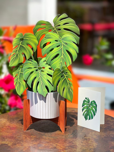 Fresh Cut Paper, Monstera Plant