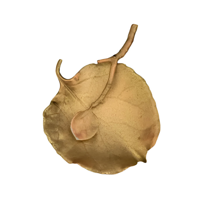 Dry leaf with a small branch on a black background