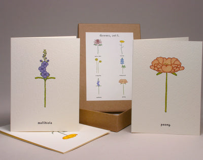 Flowers Set 8 Boxed Greeting Cards