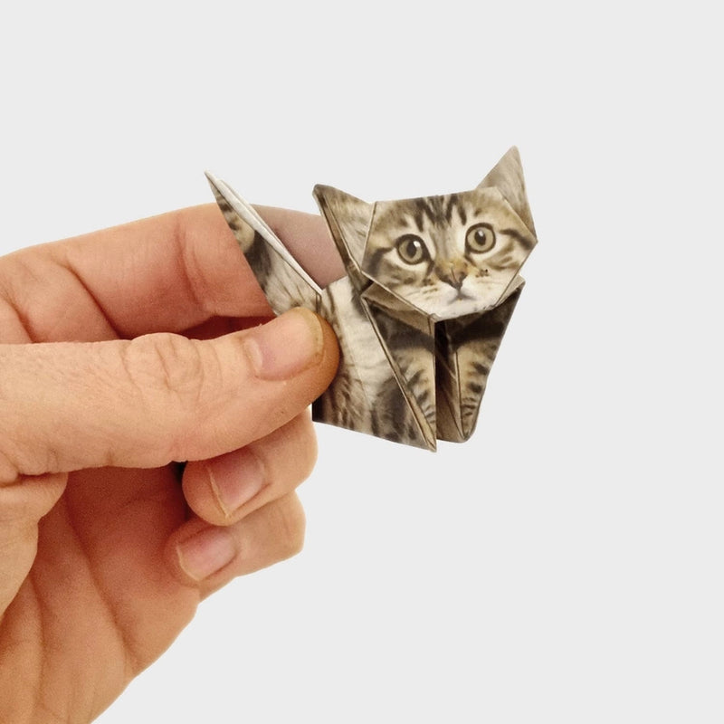 Paper Cats DIY Origami Kit