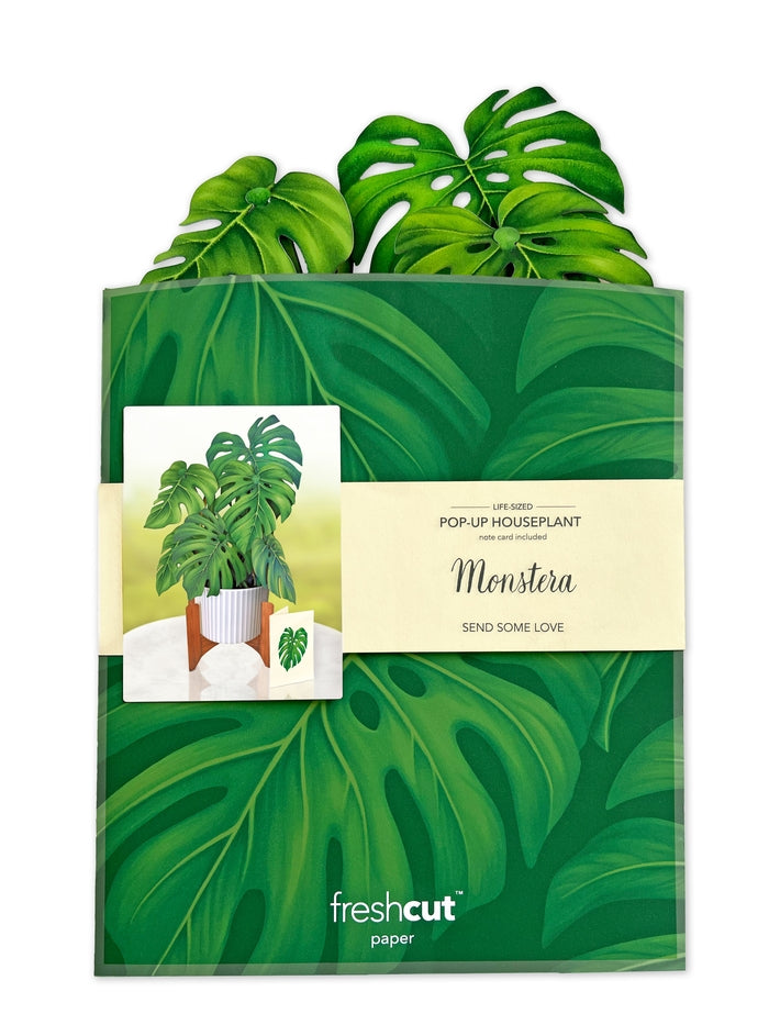 Fresh Cut Paper, Monstera Plant