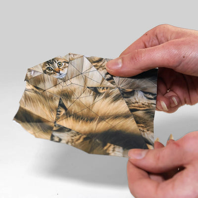 Paper Cats DIY Origami Kit