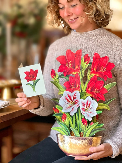 Fresh Cut Paper, Scarlet Amaryllis
