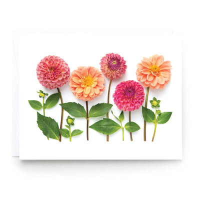 Botanical Card - Dahlia Garden
