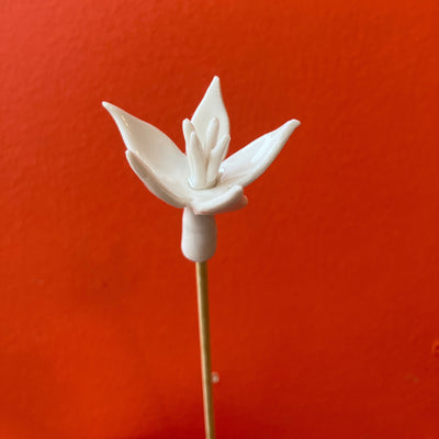Individual Porcelain Flowers