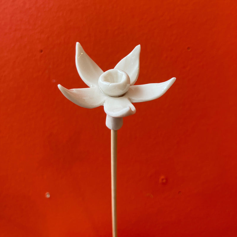 Individual Porcelain Flowers