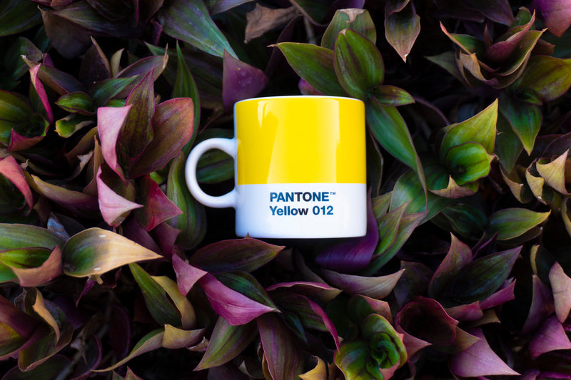 Pantone Espresso Mug: Yellow