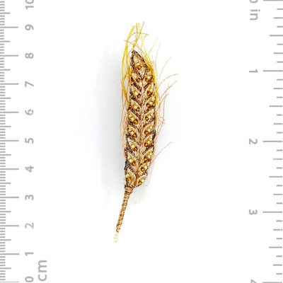 Ear of Wheat Brooch Pin