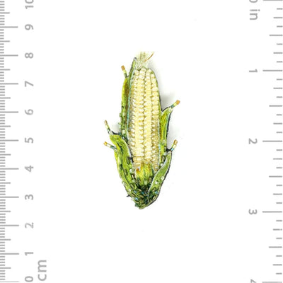 Field Corn Brooch Pin