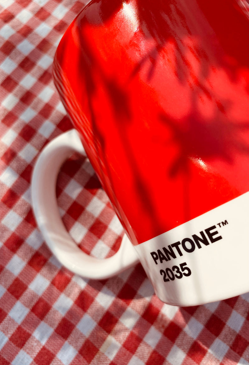 Pantone Coffee Mug: Red