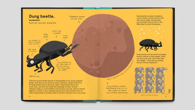 The Worlds Most Pointless Animals