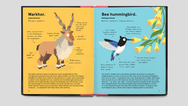 The Worlds Most Ridiculous Animals