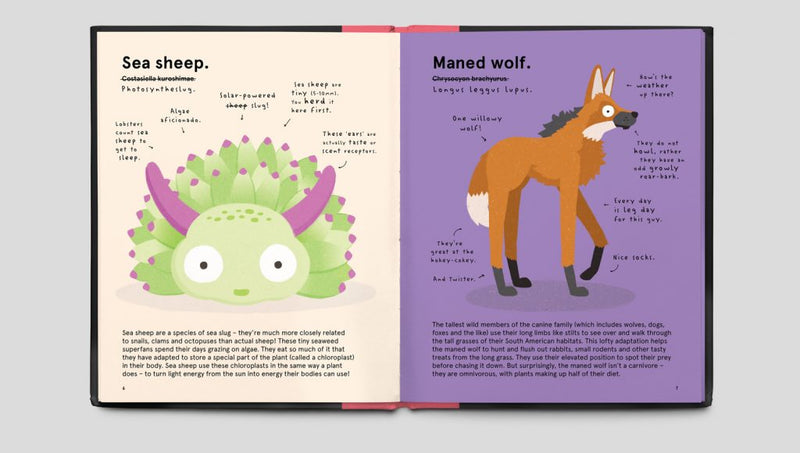 The Worlds Most Ridiculous Animals