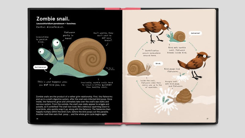 The Worlds Most Ridiculous Animals