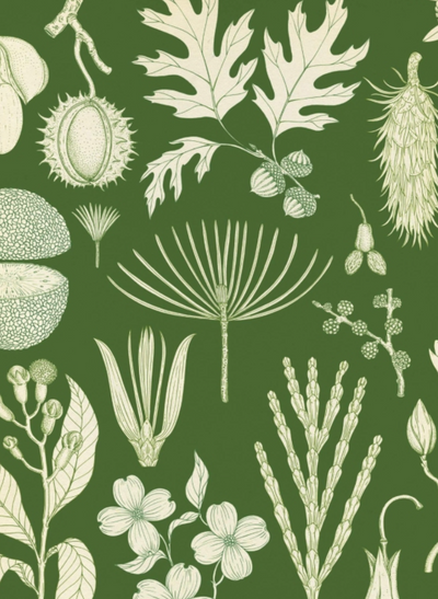 Arboretum, A Welcome to the Museum Book