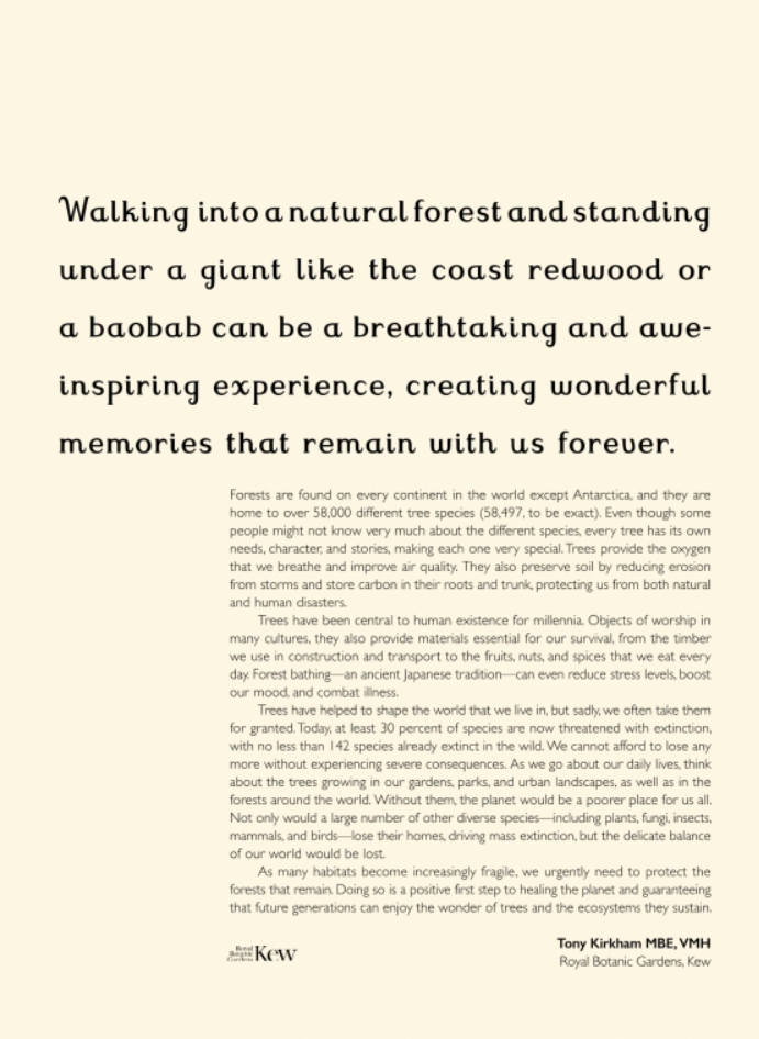 Arboretum, A Welcome to the Museum Book