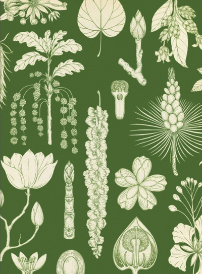 Arboretum, A Welcome to the Museum Book