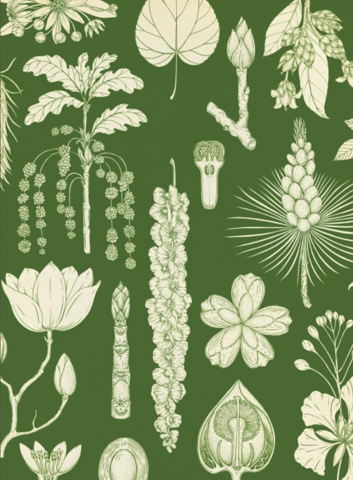 Arboretum, A Welcome to the Museum Book