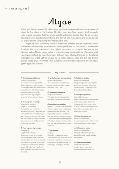 Botanicum, A Welcome to the Museum