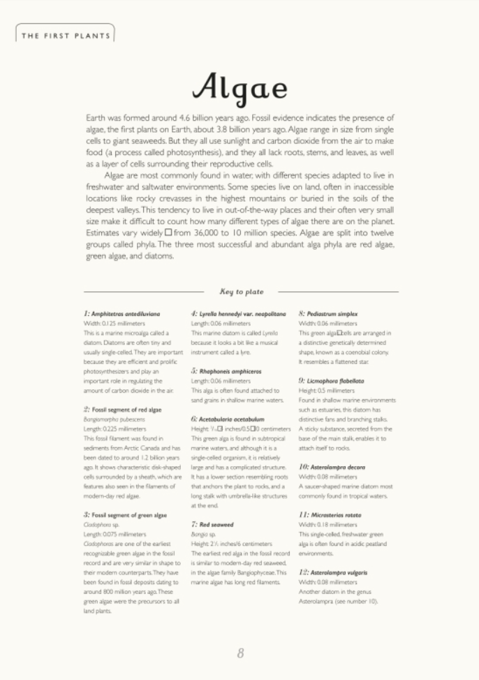 Botanicum, A Welcome to the Museum
