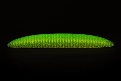 Morf Worm Fidget Toy