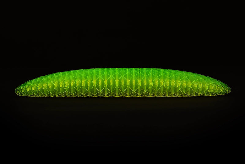 Morf Worm Fidget Toy