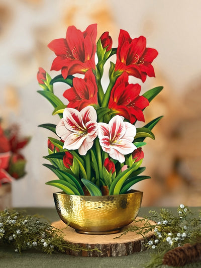 Fresh Cut Paper, Scarlet Amaryllis