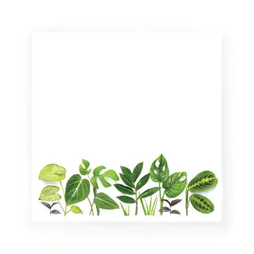 Sticky Notes: Houseplants